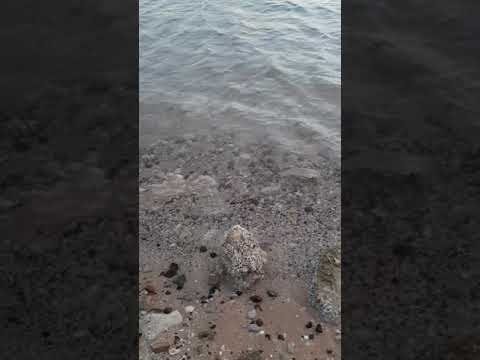 Al Shati beach,  Abu Dhabi