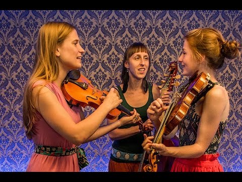 Sutari - Kupalnocka (Live on KEXP)