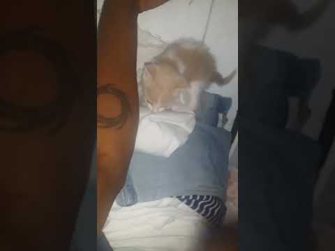 rasheed norton  June 15, 2023