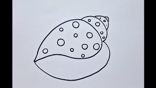 Seashell drawing, easy and slow drawing,  drawing tutorial 