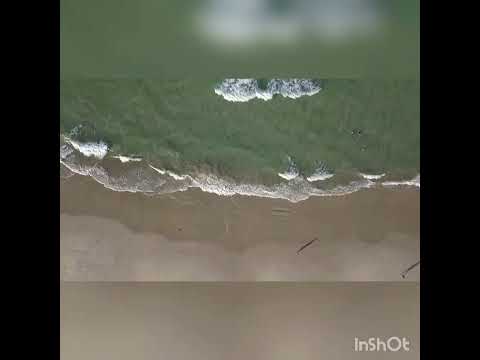 Beach Sounds 🏖️🌊 #youtube#viralvideo#relaxing#beach#