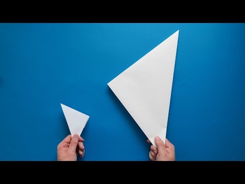 Paper Popper - Huge and Extremely loud!