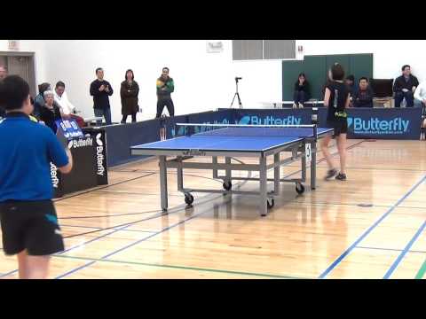 2014 Butterfly Cary Cup - Quarter Finals