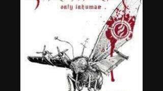 Sonic syndicate - Blue eyed fiend