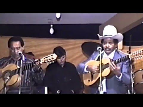 Estrela De Ouro - Tiao Carreiro E Pardinho