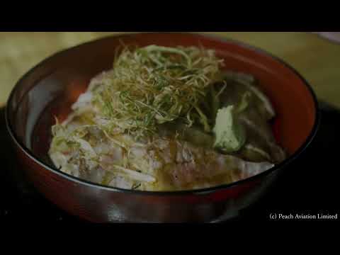 【新潟旅行】CITY LAND 新潟市/新潟観光