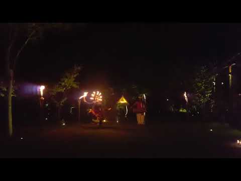 カルナカララ アーユルヴェーダ スパ & リゾート Karunakarala Ayurveda Spa & Resort