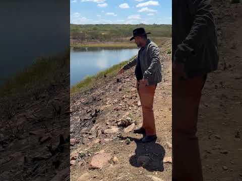 🌿🚜 **SÍTIO ALGODÃO DE BAIXO – 58 HECTARES EM PARARI-PB**