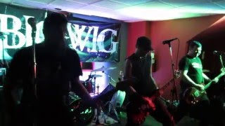 Bigwig - &#39;Sink or Swim&#39; live at Heart of Gold Fest