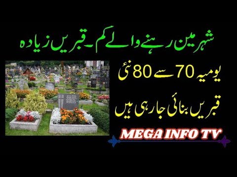 Colma, About The Town of Dead.