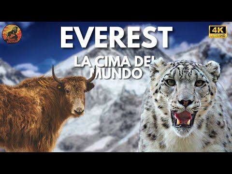 EVEREST - El Desafío Más Grande de la Humanidad | Documental Completo