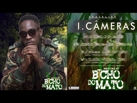 Nikotina KF - Cameras (Audio🔉)