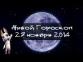 Зайка Zoobe - гороскоп для ОВНОВ . + Свежий прикол! 