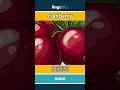 cranberry - 蔓越莓 video thumbnail