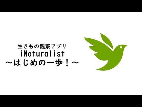 生きもの観察アプリiNaturalist～はじめの一歩！～