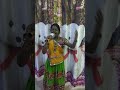 Garbha Song Pankhida O Pankhida Tsr All In One