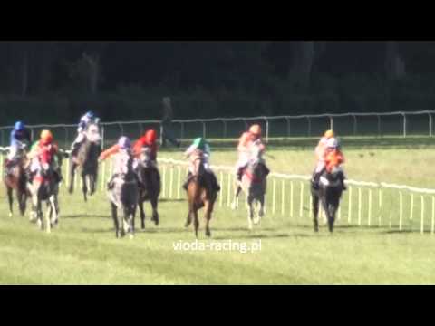 Gon. V (N. Janowa) - 26.06.2011 - Sabir (Espadero - Salsa)