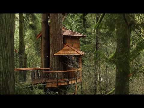 download lagu mp3 mp4 Treehouse Rentals Oregon, download lagu Treehouse Rentals Oregon gratis, unduh video klip Treehouse Rentals Oregon