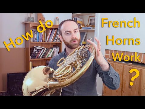 How French Horns Work! (Unique Features Unpacked)