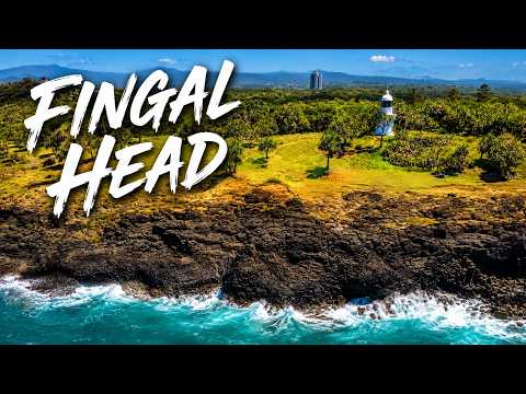 DOLPHINS & THE LIGHTHOUSE AT FINGAL HEAD