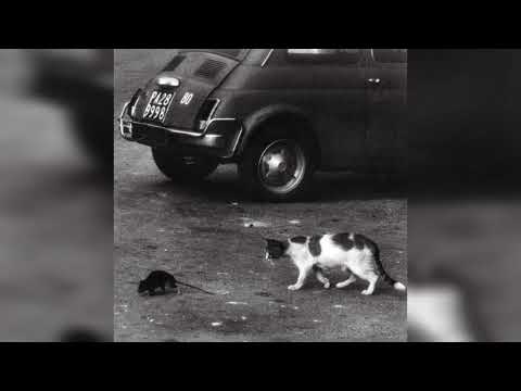 71 BPM Acapella Conway The Machine - Brick By Brick