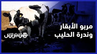 ندرة الحليب... مربو الأبقار يشتكون غلاء وجودة الأعلاف ويطالبون بدعم الفلاح مباشرة thumbnail