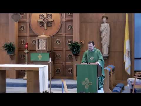 Fr. Joe Mozer Homily, Monday of the Thirty-third Week in Ordinary Time – LK 18:35-43