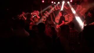 Mustard Plug -Everything Girl