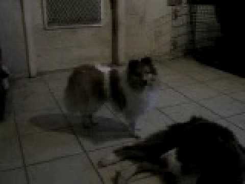 Joy Singing to Y & R