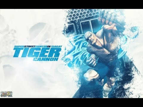 RaGe Lachome (Sagat) vs GOLD Madjestik (Chun Li)