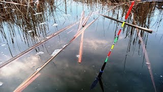 Карась ловля весной на поплавочную удочку в питере