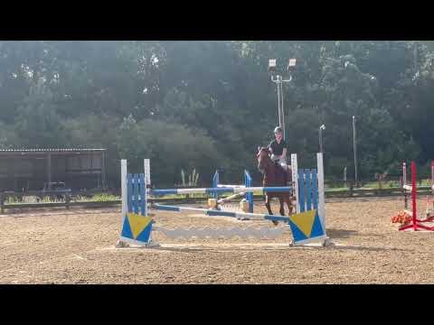 Conte Bellini video 3