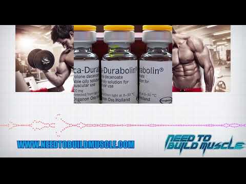 Deca Durabolin - Half Life 5/10 | Clip from Evolutionary Podcast Episode | #280