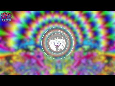 Sentimental-Spontaneous Jam Sessions Shrooms Edition