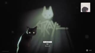 今話題の［Stray］をやってみる