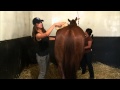 Jen At Work Belmont Park