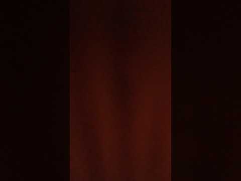 The aristocats part 6