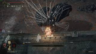 エルデンリング 黒き剣の眷属 蟲糸 de ノーダメ撃破 EldenRing No Damage【PC】