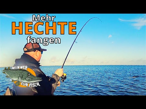 Hechtangeln vom Ufer: So steigerst Du Deinen Fangerfolg!