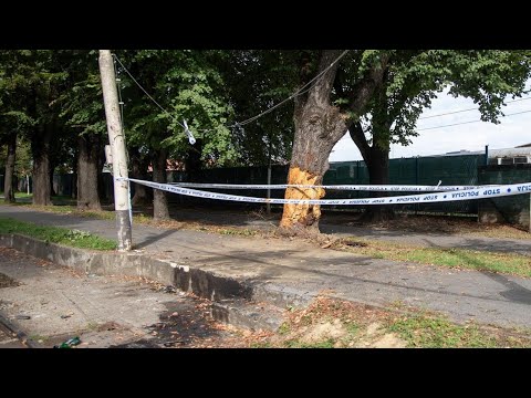 Tragedija u Osijeku: BMW-om se zabili u stup i drvo, jedan poginuo, četvero s teškim ozljedama