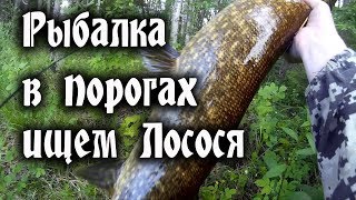 Ссылка