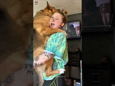 Nobody Knew This About Her Dog… 😱🐶 | Secret Story Part 2 #Shorts