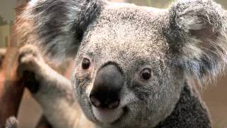 Rien À Foutre Lyrics English Translation