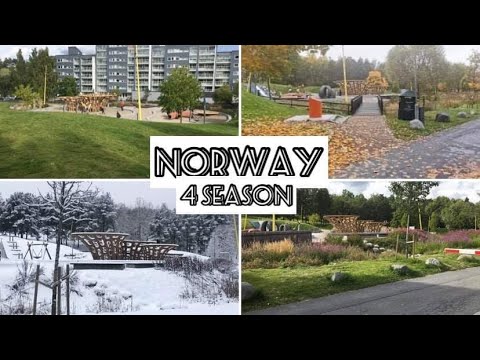 4 Seasons in Norway || 4 Seasons’s Beauty ||ناروے کے چار موسم