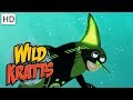 Wild Kratts 🐬🦈🐙 Creature Powers in the Ocean! | Kids Videos