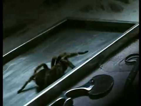 YouTube Trailer