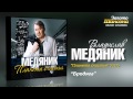 Владислав Медяник - Бродяга (Audio) 