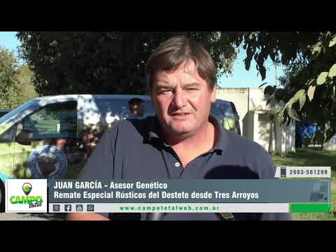 JUAN GARCÍA | Asesor Genético - Remate Especial Rústicos del Destete 2021