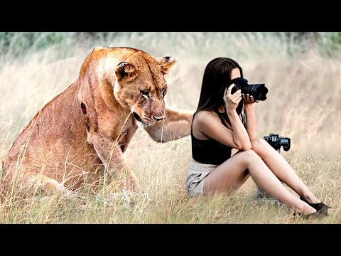 ¡ANIMALES PELIGROSOS ATRAPADOS SIENDO AMIGABLES!