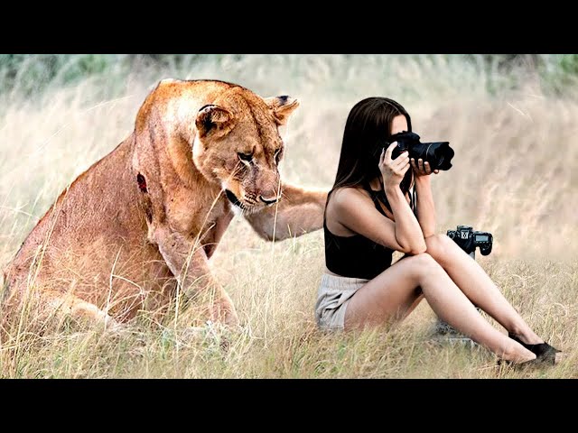¡ANIMALES PELIGROSOS ATRAPADOS SIENDO AMIGABLES! SDDEFAULT Thumbnail